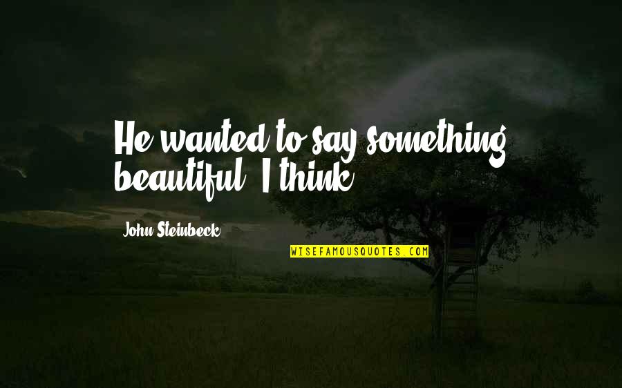 Country Towns Quotes By John Steinbeck: He wanted to say something beautiful, I think.
