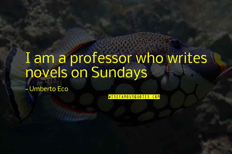 Country Towns Quotes By Umberto Eco: I am a professor who writes novels on