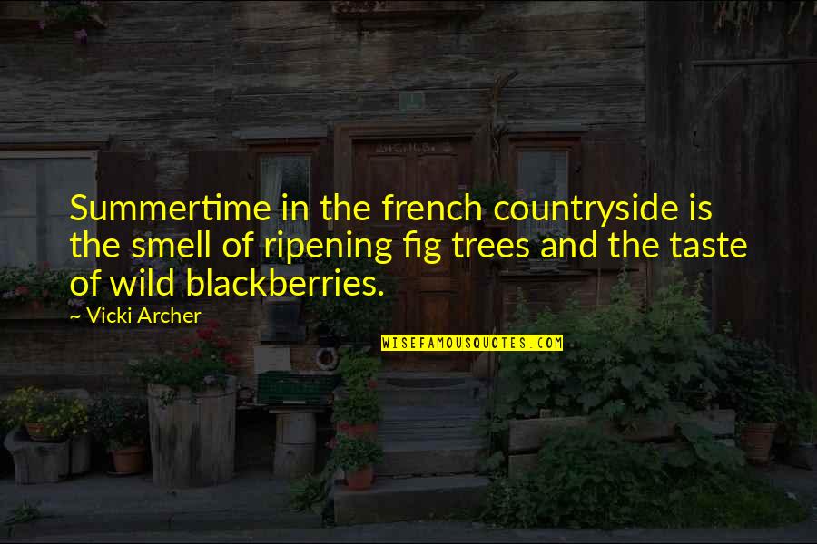 Countryside's Quotes By Vicki Archer: Summertime in the french countryside is the smell