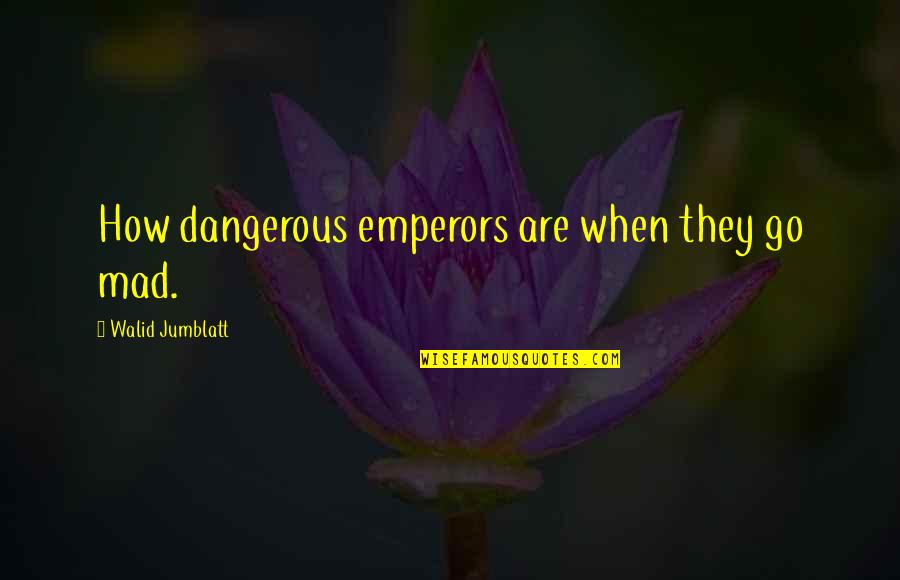 Counts The Cost Quotes By Walid Jumblatt: How dangerous emperors are when they go mad.