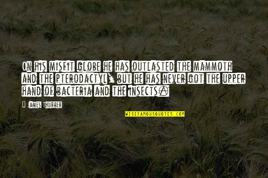 Couple Compliments Quotes By James Thurber: On his misfit globe he has outlasted the