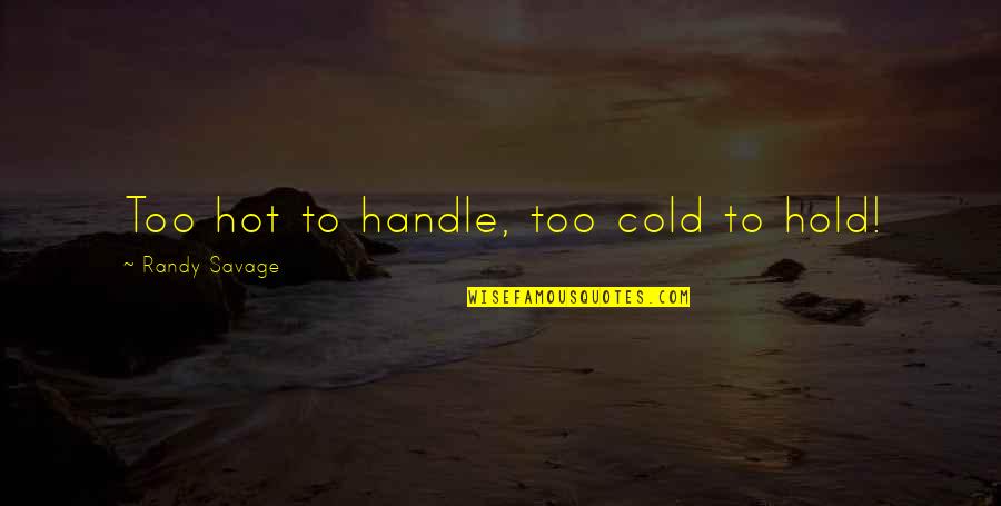 Couples Retreat Trudy Quotes By Randy Savage: Too hot to handle, too cold to hold!
