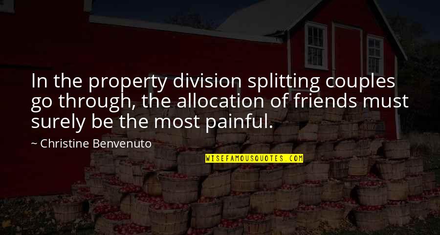 Couples That Are Best Friends Quotes By Christine Benvenuto: In the property division splitting couples go through,