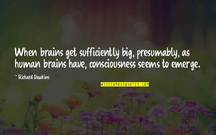 Couplove Quotes By Richard Dawkins: When brains get sufficiently big, presumably, as human