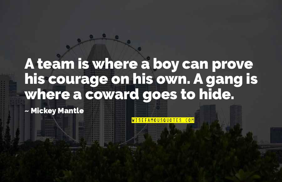 Courage And Coward Quotes By Mickey Mantle: A team is where a boy can prove