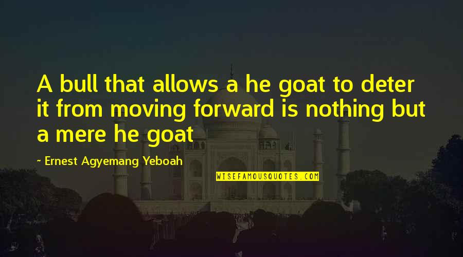 Courage Cowardice Quotes By Ernest Agyemang Yeboah: A bull that allows a he goat to Courage Cowardice Quotes By Ernest Agyemang Yeboah: A bull that allows a he goat to