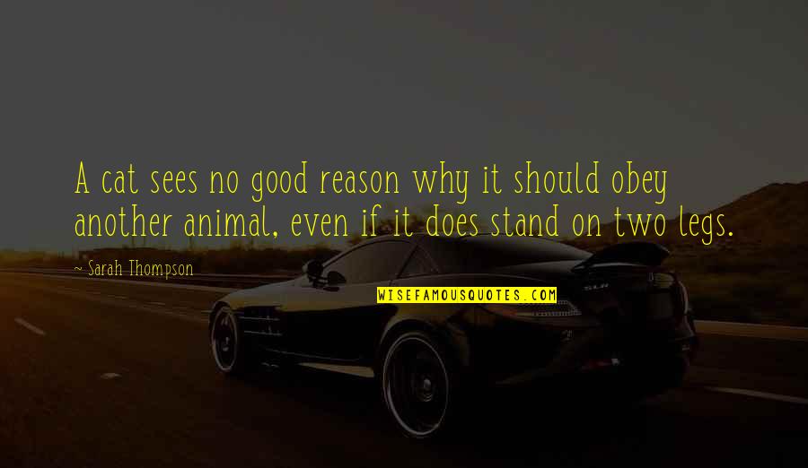 Courage Dog Quotes By Sarah Thompson: A cat sees no good reason why it Courage Dog Quotes By Sarah Thompson: A cat sees no good reason why it