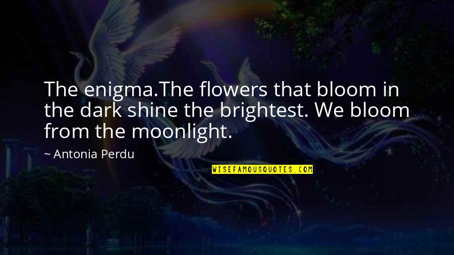 Courage Phrases Quotes By Antonia Perdu: The enigma.The flowers that bloom in the dark