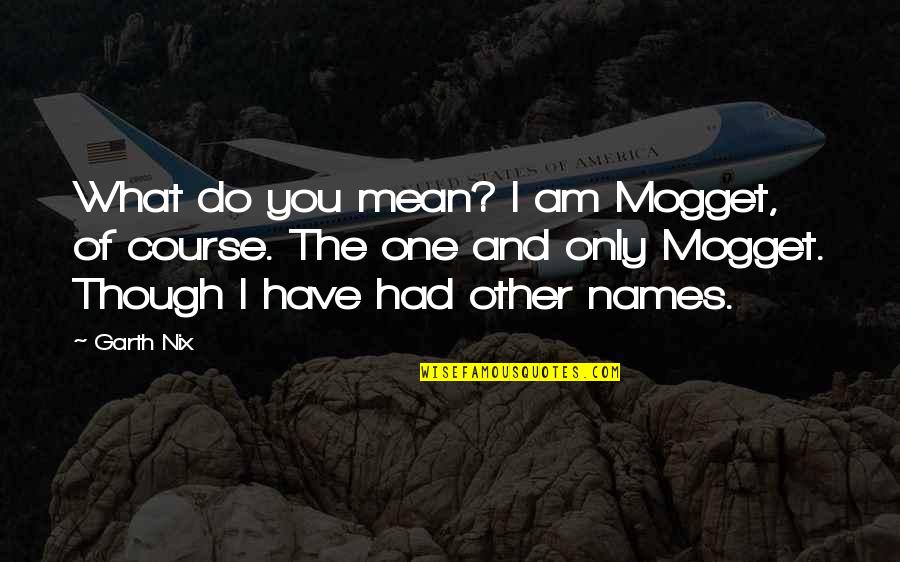 Course What Quotes By Garth Nix: What do you mean? I am Mogget, of