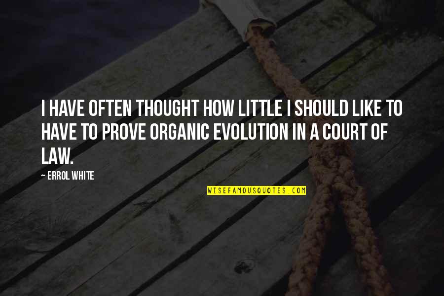 Court Of Law Quotes By Errol White: I have often thought how little I should