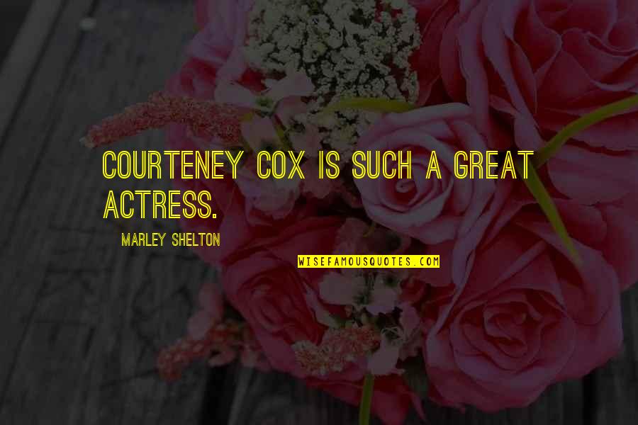 Courteney Cox Best Quotes By Marley Shelton: Courteney Cox is such a great actress.