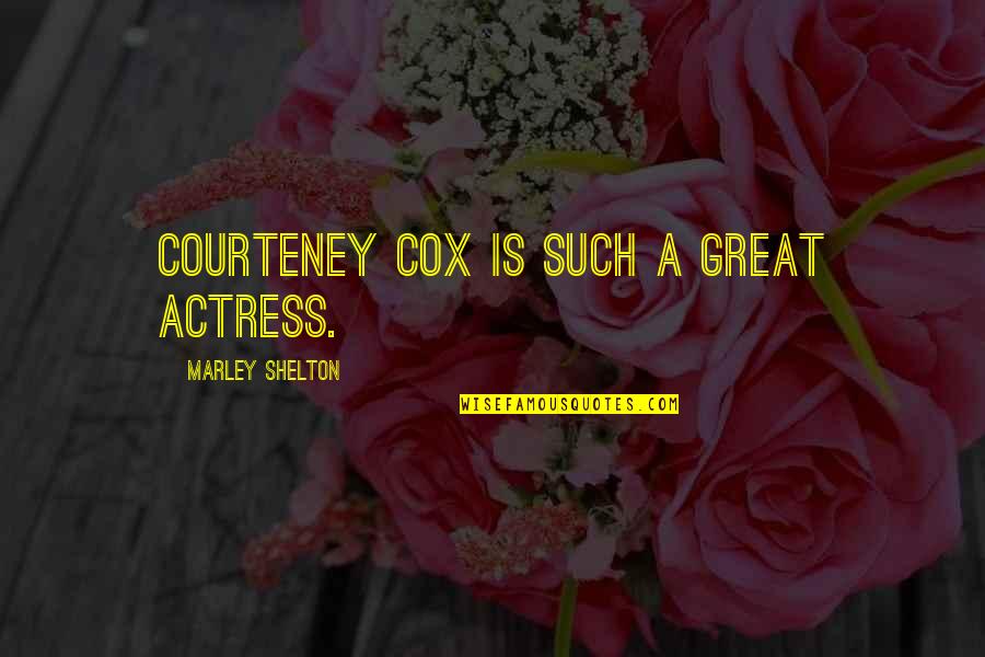 Courteney Cox Best Quotes By Marley Shelton: Courteney Cox is such a great actress. Courteney Cox Best Quotes By Marley Shelton: Courteney Cox is such a great actress.