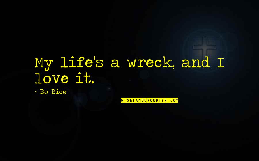 Courthouses Quotes By Bo Bice: My life's a wreck, and I love it.