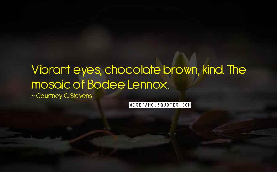 Courtney C. Stevens quotes: Vibrant eyes, chocolate brown, kind. The mosaic of Bodee Lennox.