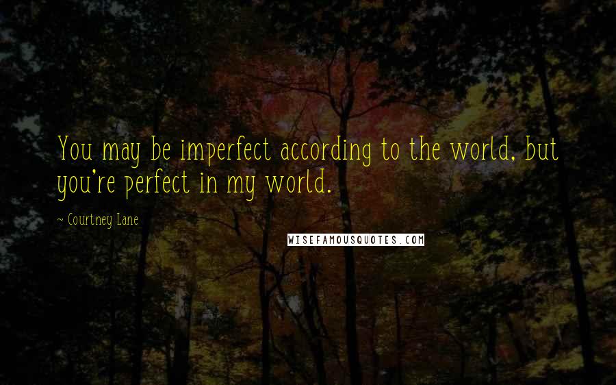 Courtney Lane quotes: You may be imperfect according to the world, but you're perfect in my world.