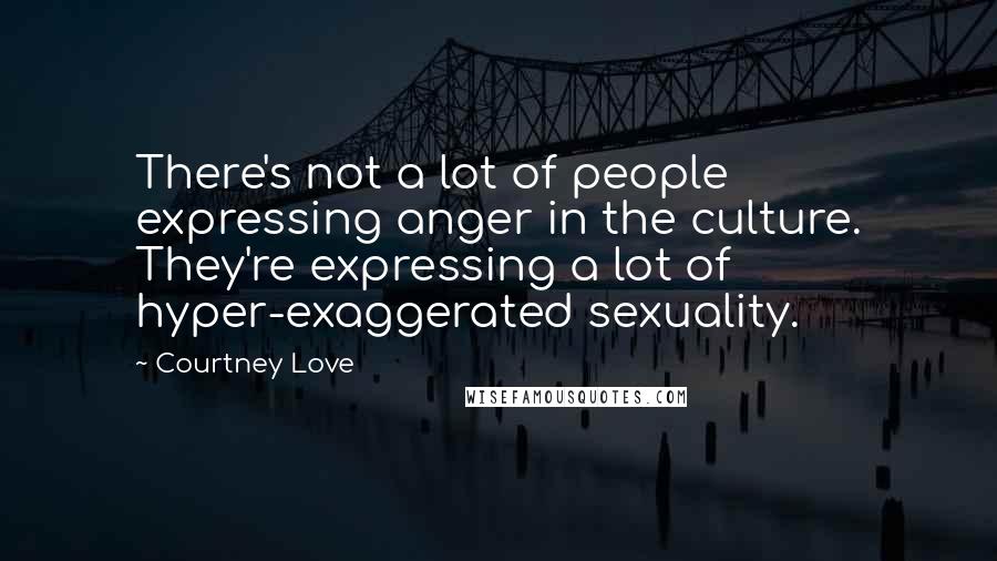 Courtney Love quotes: There's not a lot of people expressing anger in the culture. They're expressing a lot of hyper-exaggerated sexuality.