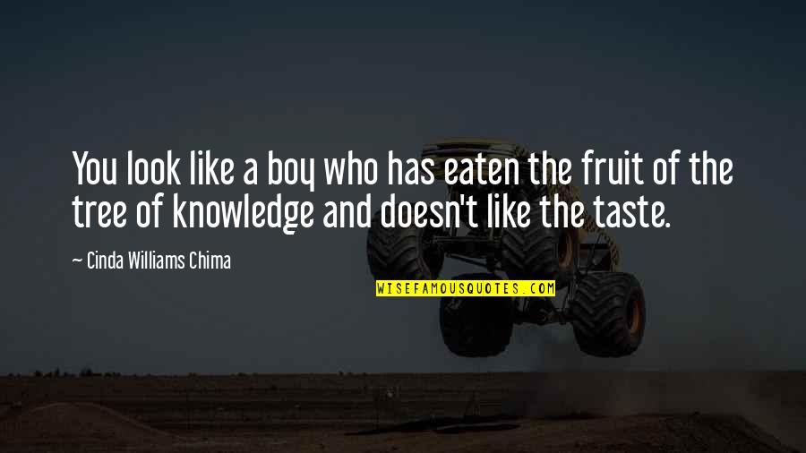 Courts And Justice Quotes By Cinda Williams Chima: You look like a boy who has eaten Courts And Justice Quotes By Cinda Williams Chima: You look like a boy who has eaten
