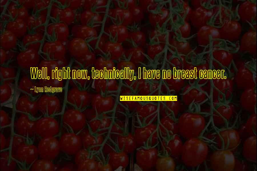 Courtyards Quotes By Lynn Redgrave: Well, right now, technically, I have no breast Courtyards Quotes By Lynn Redgrave: Well, right now, technically, I have no breast