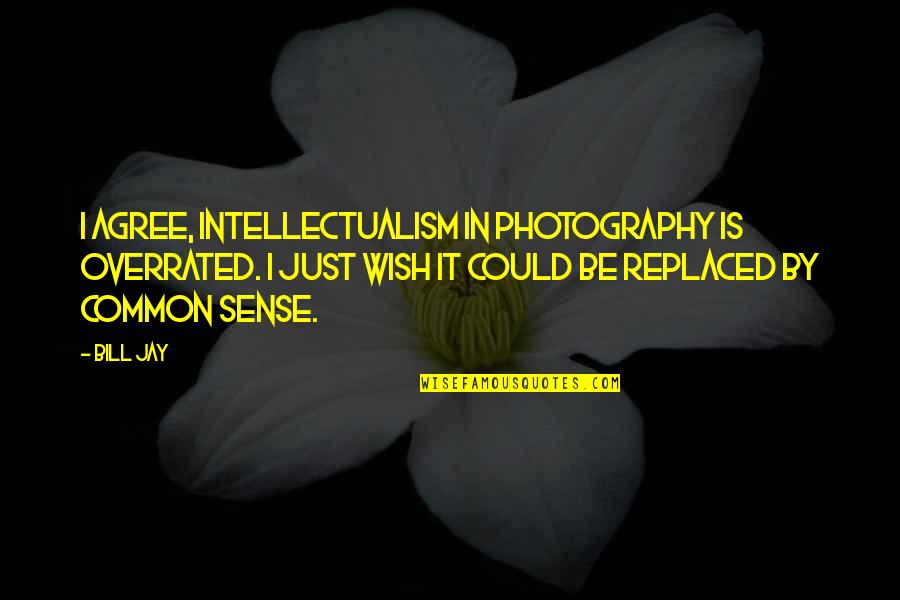 Cousin And Sister Quotes By Bill Jay: I agree, intellectualism in photography is overrated. I