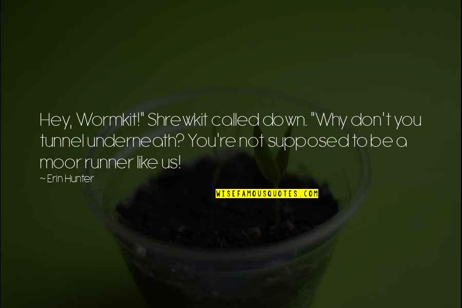 Cousin Funny Quotes By Erin Hunter: Hey, Wormkit!" Shrewkit called down. "Why don't you