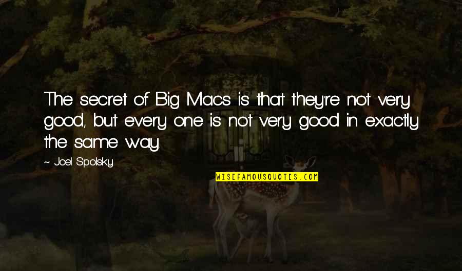 Cousin Funny Quotes By Joel Spolsky: The secret of Big Macs is that they're