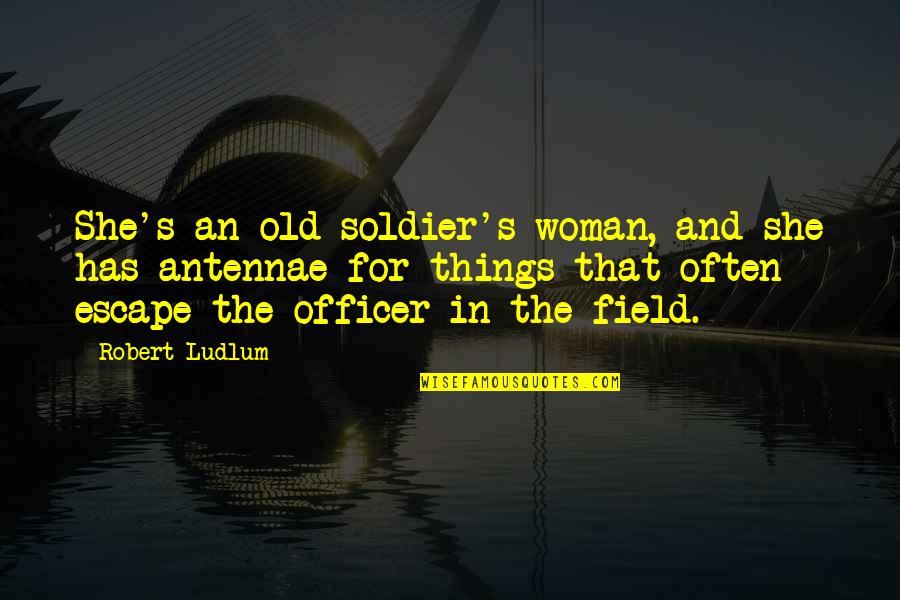 Cousino Macul Quotes By Robert Ludlum: She's an old soldier's woman, and she has