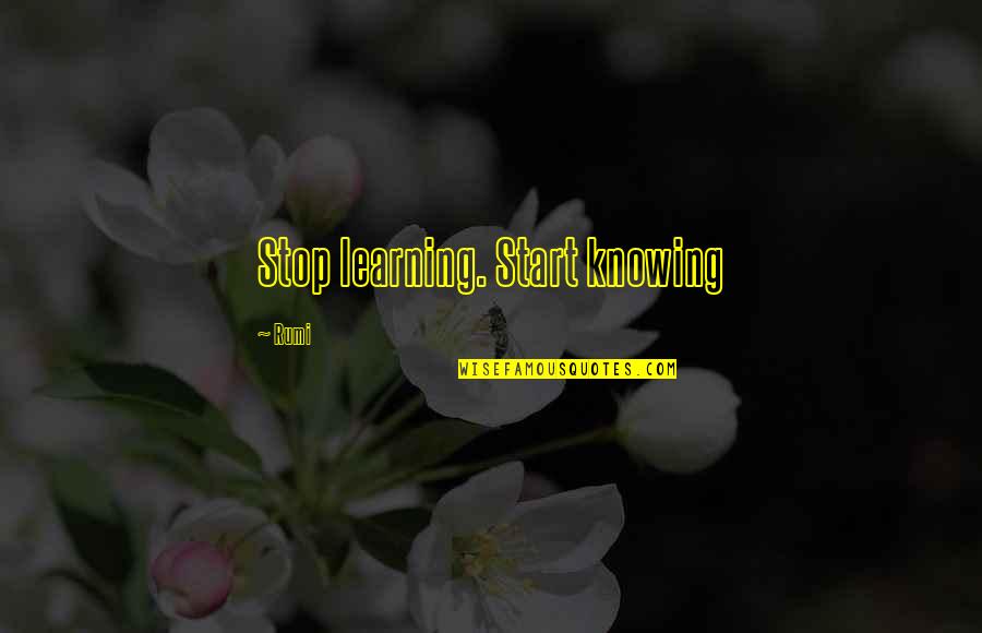 Cousins And Sisters Quotes By Rumi: Stop learning. Start knowing Cousins And Sisters Quotes By Rumi: Stop learning. Start knowing