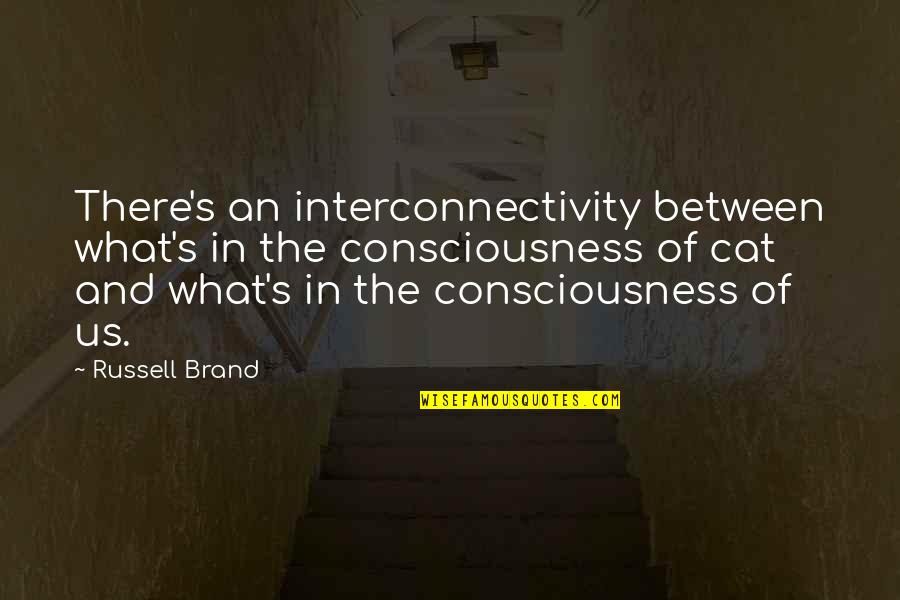 Cousins Love Quotes By Russell Brand: There's an interconnectivity between what's in the consciousness