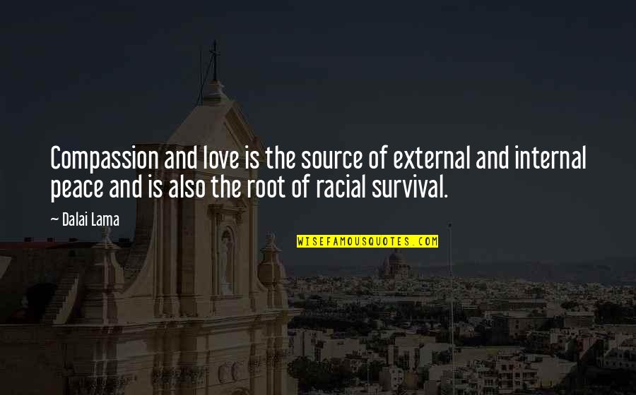Coussement Herv Quotes By Dalai Lama: Compassion and love is the source of external Coussement Herv Quotes By Dalai Lama: Compassion and love is the source of external