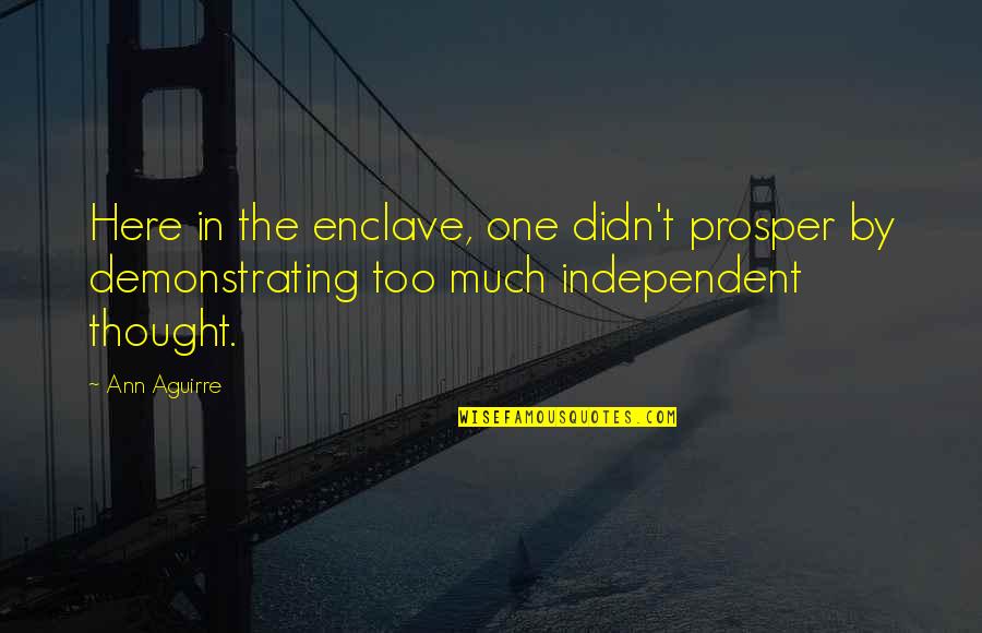 Couvertier Quotes By Ann Aguirre: Here in the enclave, one didn't prosper by