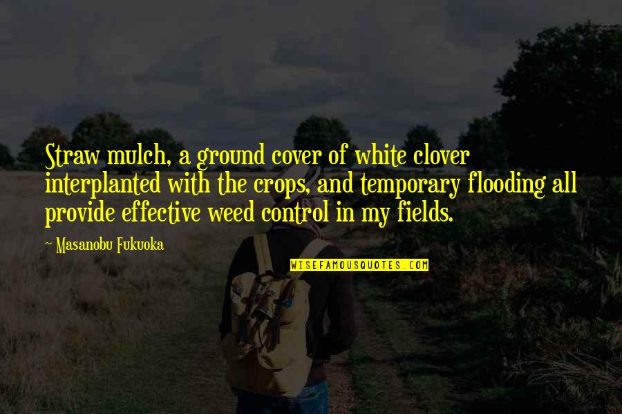 Cover Crops Quotes By Masanobu Fukuoka: Straw mulch, a ground cover of white clover