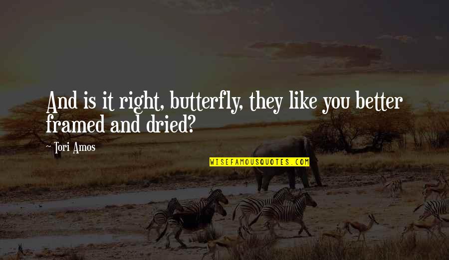 Cover Photo Friendship Quotes By Tori Amos: And is it right, butterfly, they like you