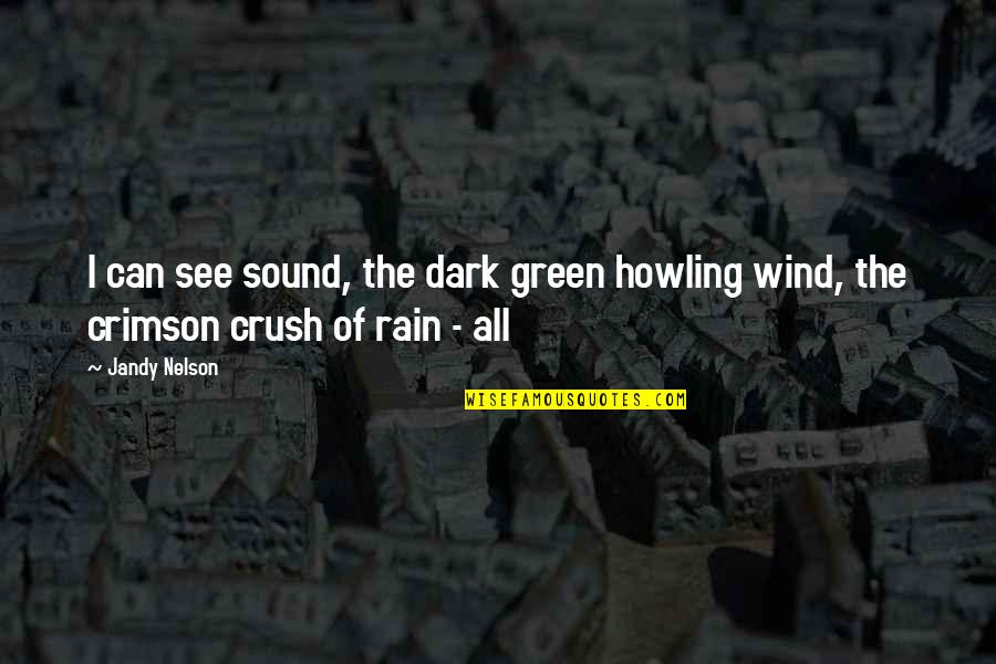 Covering My Eyes Quotes By Jandy Nelson: I can see sound, the dark green howling