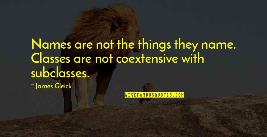 Covert Incest Quotes By James Gleick: Names are not the things they name. Classes