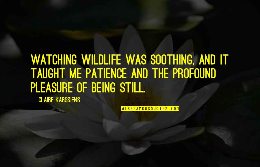 Coveted Pronunciation Quotes By Claire Karssiens: Watching wildlife was soothing, and it taught me