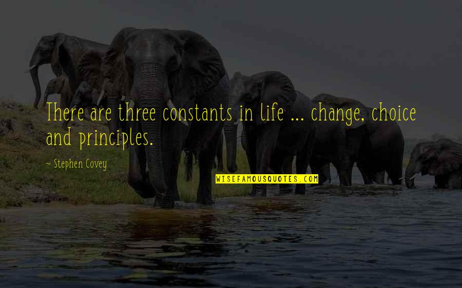 Covey Stephen Quotes By Stephen Covey: There are three constants in life ... change,