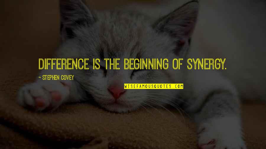 Covey Synergy Quotes By Stephen Covey: Difference is the beginning of synergy.