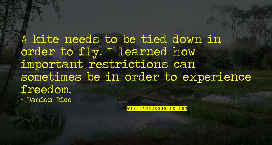 Covitz Bill Quotes By Damien Rice: A kite needs to be tied down in Covitz Bill Quotes By Damien Rice: A kite needs to be tied down in