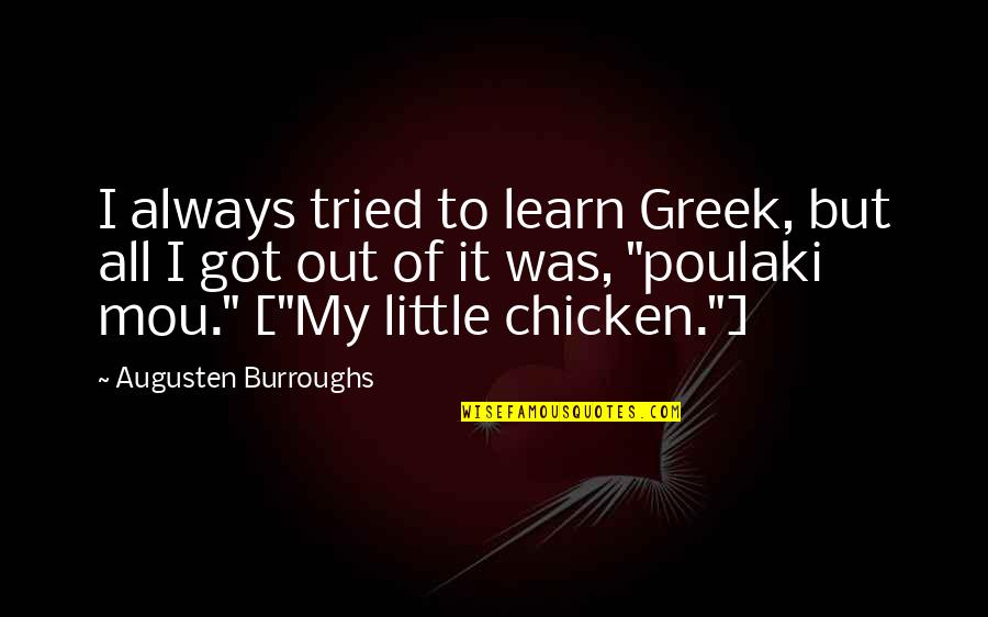 Cow And Chicken Quotes By Augusten Burroughs: I always tried to learn Greek, but all Cow And Chicken Quotes By Augusten Burroughs: I always tried to learn Greek, but all