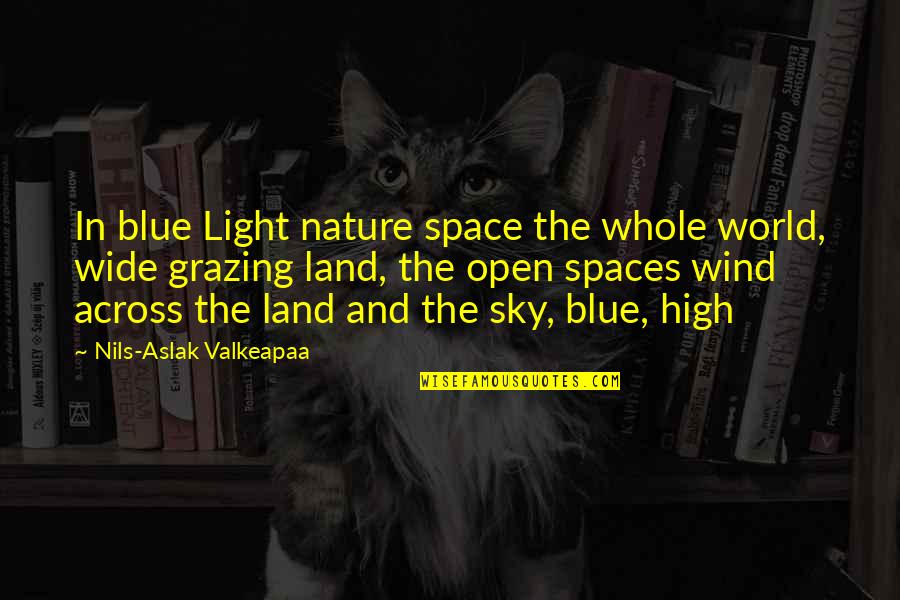 Cow Grazing Quotes By Nils-Aslak Valkeapaa: In blue Light nature space the whole world,