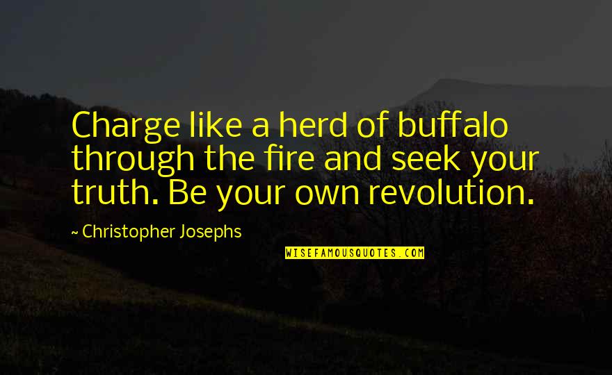 Cow Herd Quotes By Christopher Josephs: Charge like a herd of buffalo through the