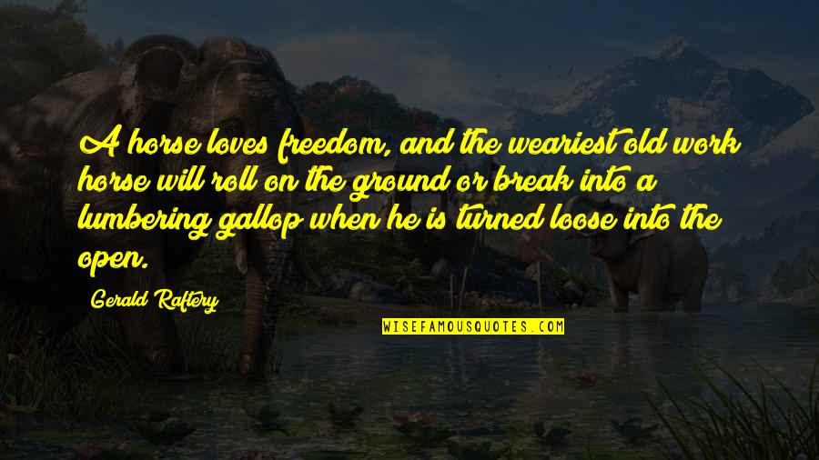 Cow Horse Quotes By Gerald Raftery: A horse loves freedom, and the weariest old