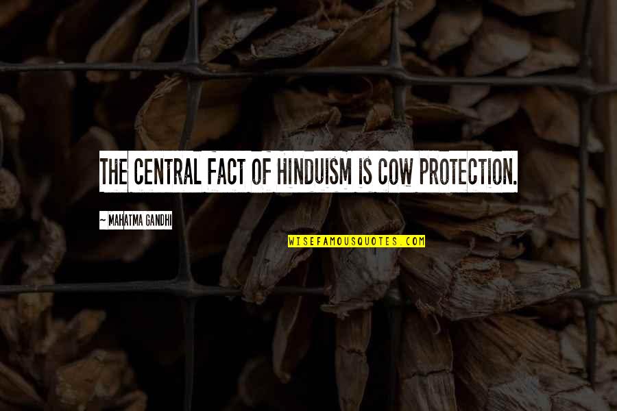 Cow Protection Quotes By Mahatma Gandhi: The central fact of Hinduism is cow protection.