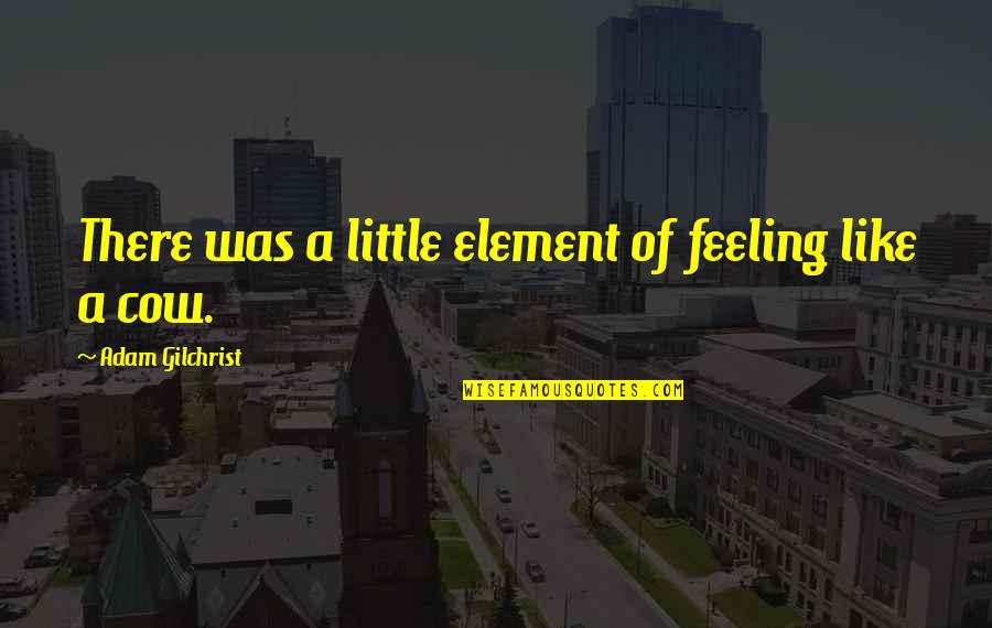 Cow Quotes By Adam Gilchrist: There was a little element of feeling like
