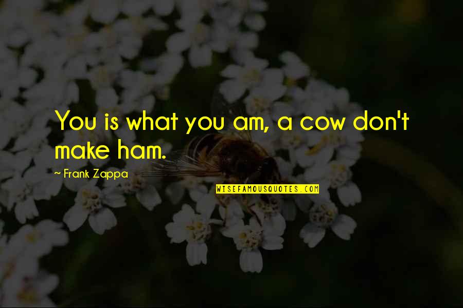 Cow Quotes By Frank Zappa: You is what you am, a cow don't