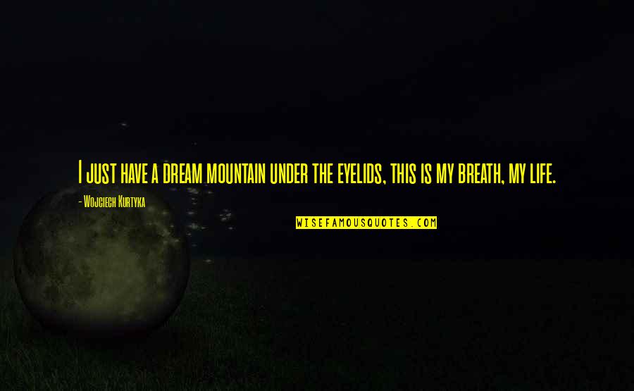 Cowabunga Ninja Quotes By Wojciech Kurtyka: I just have a dream mountain under the Cowabunga Ninja Quotes By Wojciech Kurtyka: I just have a dream mountain under the