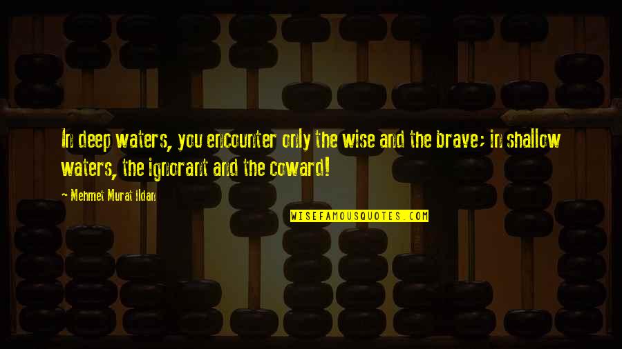 Coward And Brave Quotes By Mehmet Murat Ildan: In deep waters, you encounter only the wise