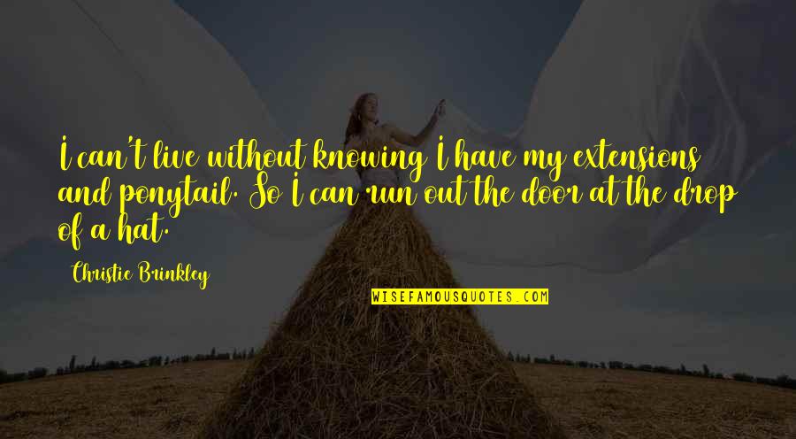 Cowboy Love Poems Quotes By Christie Brinkley: I can't live without knowing I have my