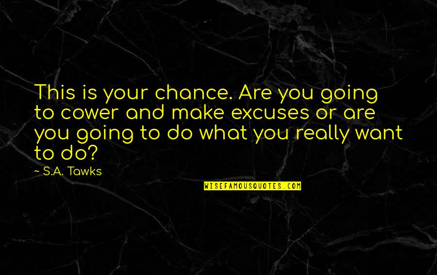 Cower Quotes By S.A. Tawks: This is your chance. Are you going to