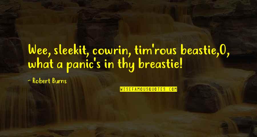 Cowrin Quotes By Robert Burns: Wee, sleekit, cowrin, tim'rous beastie,O, what a panic's